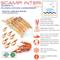 SCAMPI MEDI 21/30 LORDO GR.500 NETTO 375GR. (Nephrops Norvegicus) retail